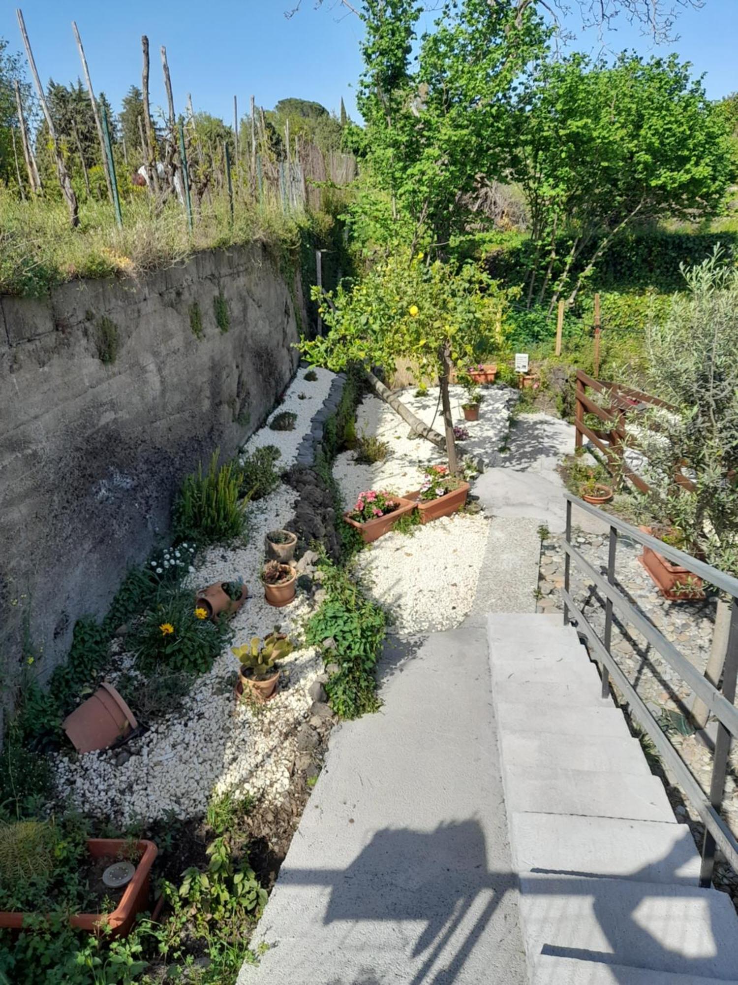 Sikelia Etna House Holiday home